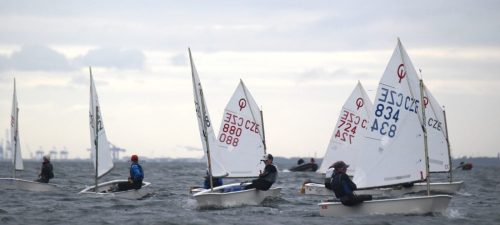 Czech_Optimist_Gdynia_2025